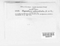 Image Associated With the Occurence